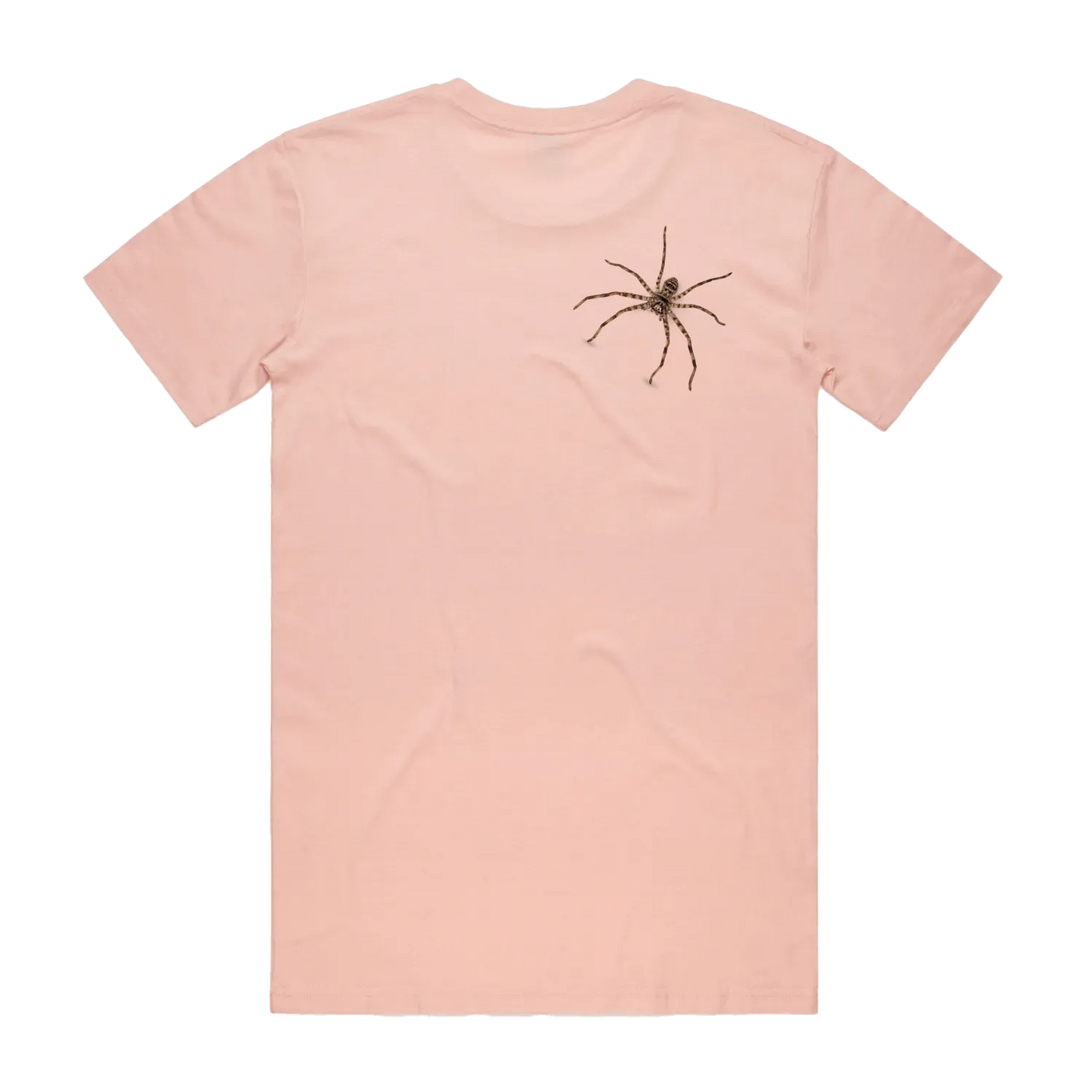 Pale Pink back flat lay