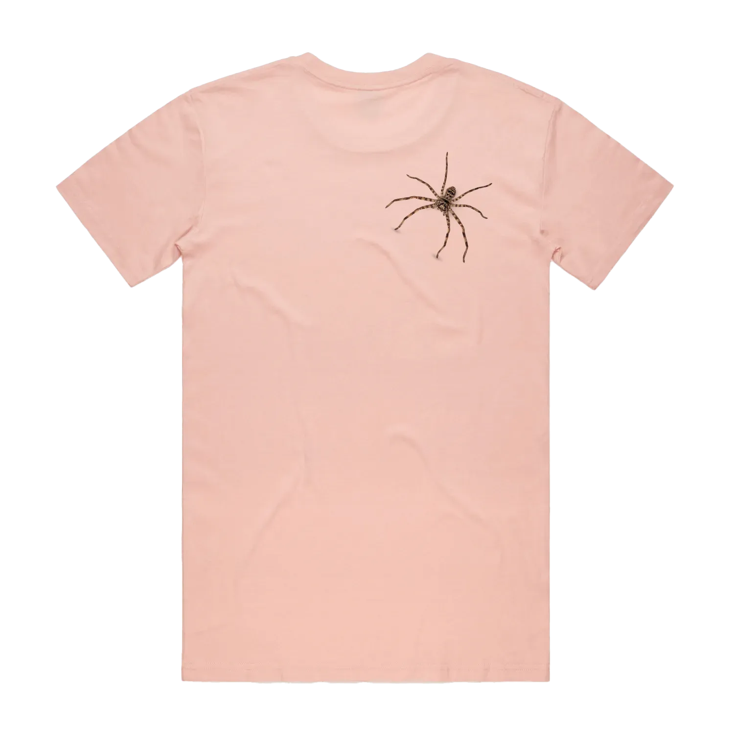Pale Pink back flat lay