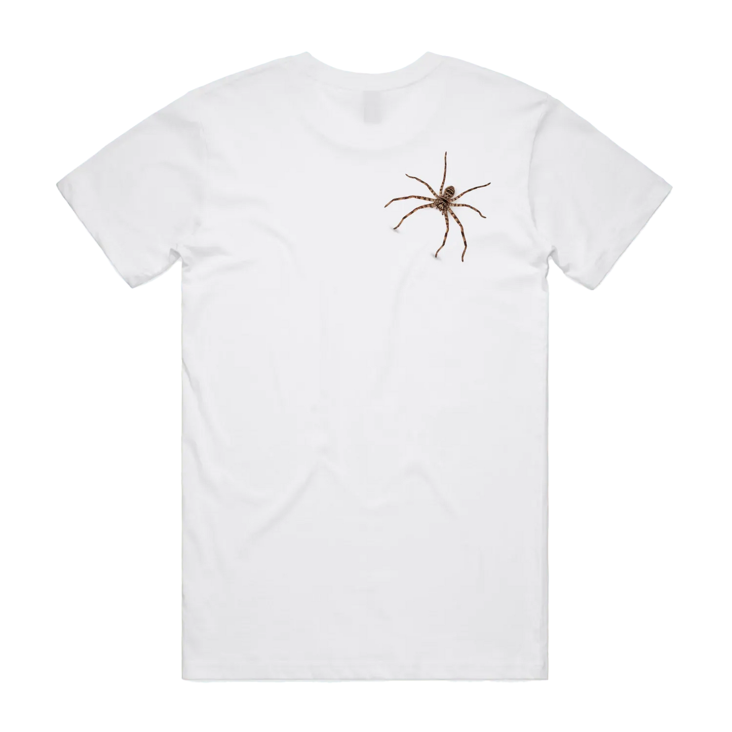 White back flat lay