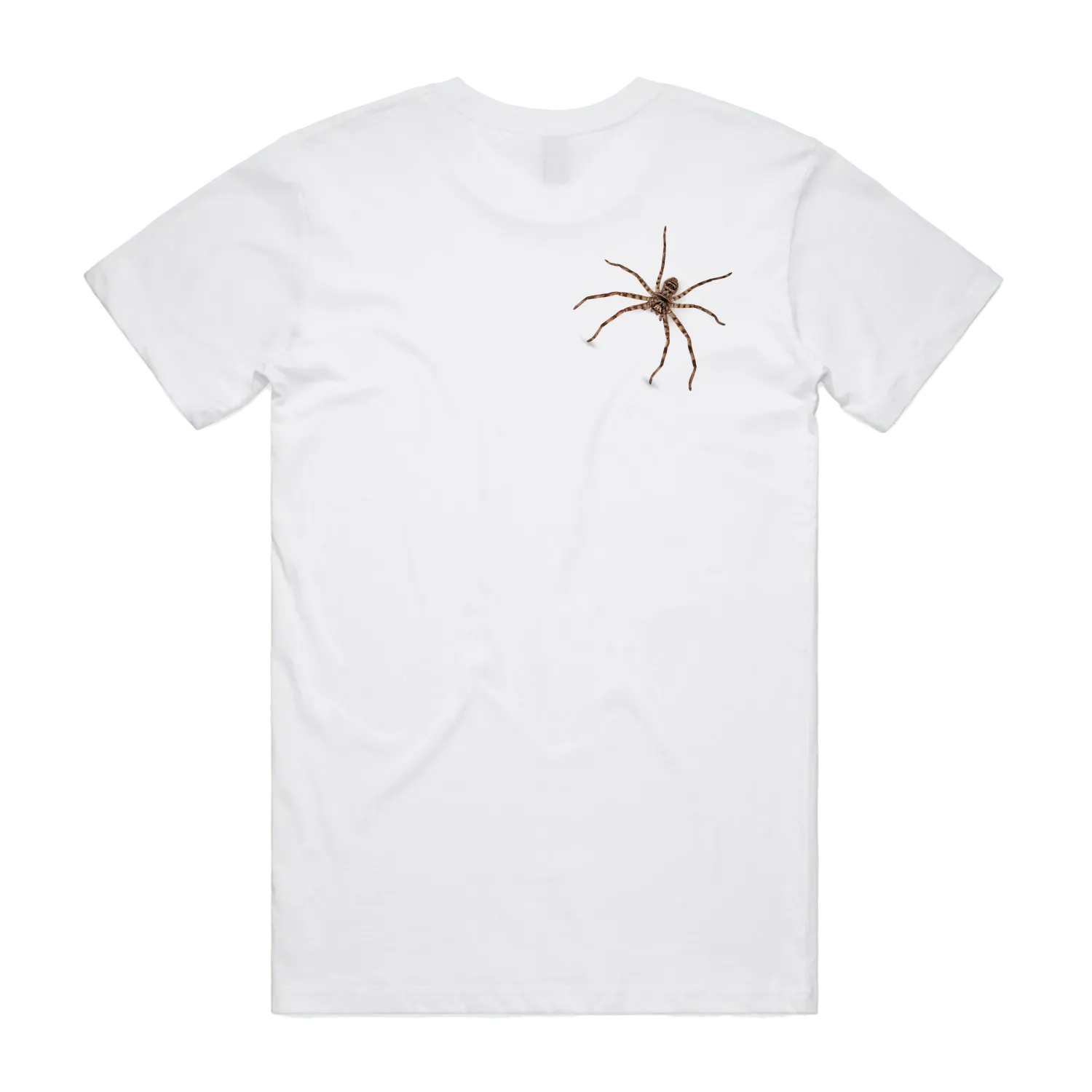 White back flat lay